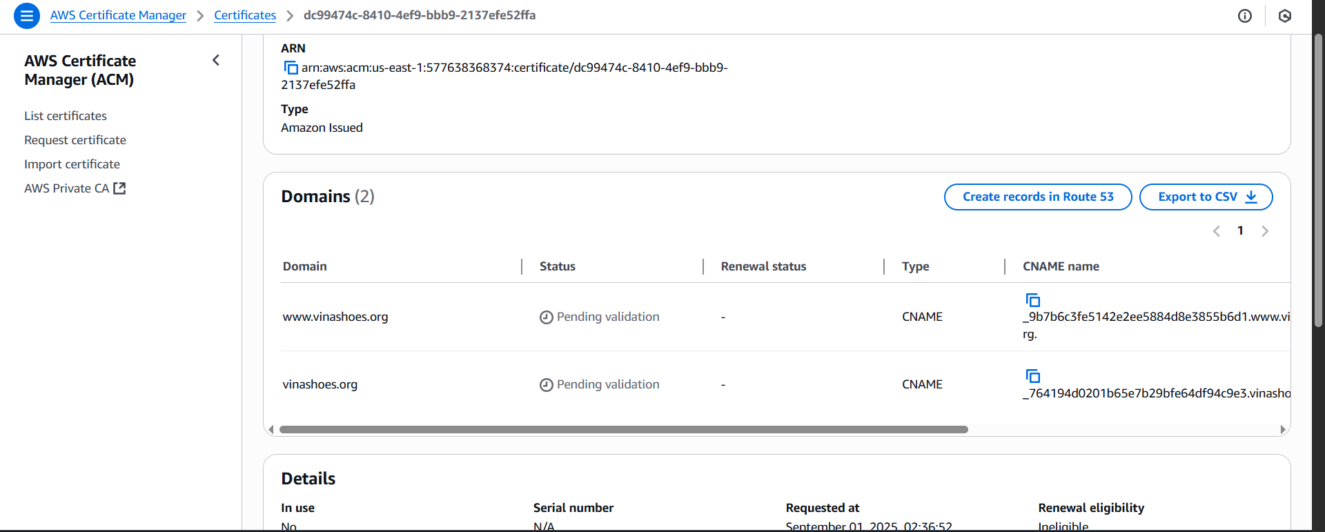 Theo dõi trạng thái validation trong ACM console ACM Status Monitoring