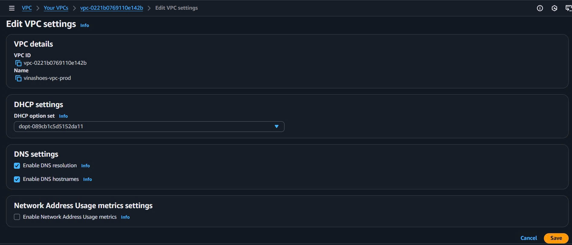 DNS Settings Configuration
